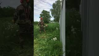 Работа Триммера Stihl Fs 450 How Stihl Fs 450 Trimmer Works