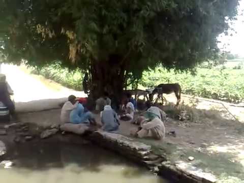 essay on life in a pakistani village essay on life in a pakistani village