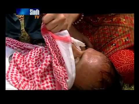 SINDHI Dabbang part 8