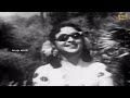 அழகான வாழை | Azhagana Vazhai | Dharmam Thalai Kaakum | P. Susheela Hit Song | Maaja Music