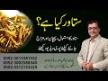 Satawar | Asparagus | Shatavari | Satawar Ka Mizaaj. Faide Aur Istemaal in Urdu | Hakeem Shah Nazir