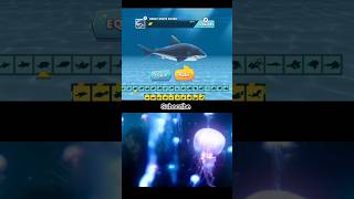 Hungry Shark Evolution