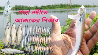 Padma River Fishing Nodite Mach Dhora How To Catch Fish In River With Hook