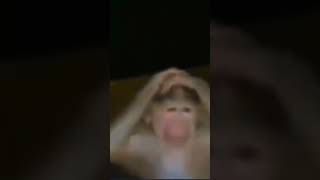 Sad Monkey Holding His Head (Üzgün  Maymun Başını Tutuyor)