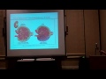User Group Meeting - Part 2