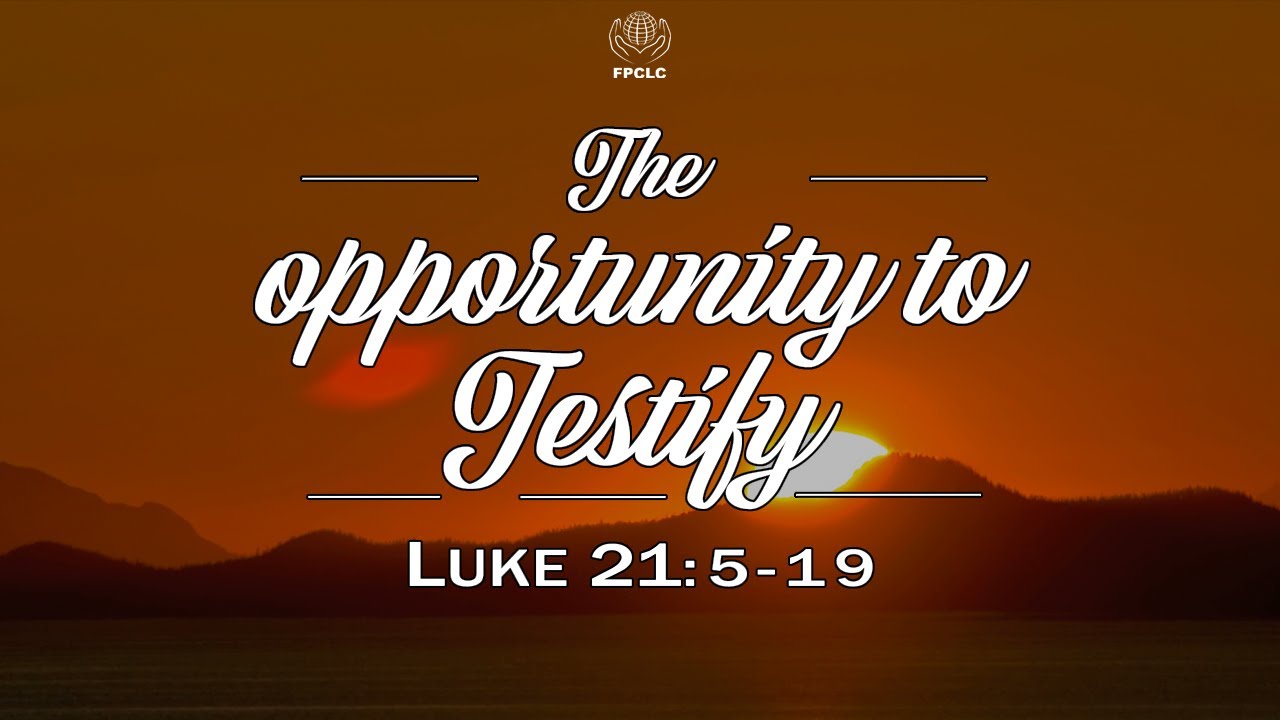 The Opportunity to Testify, Full Worship Service, Nov 17th, 19