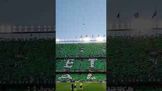 MmNW0Dy6u8U Video Image
