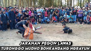 Seni Jaranan Pegon Turonggo Mudho Bonkandang