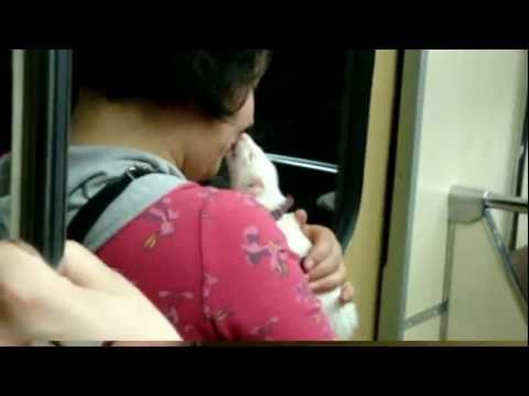 "Крыса" в метро Rat subway HORECA FRETKA