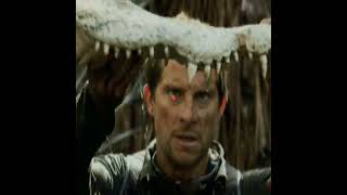 Bear Grills Vs Wild