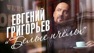 Евгений Григорьев (Жека) - Белые Пчелы. (Official Teaser)