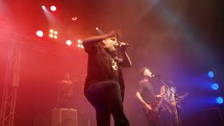 Watch El Peyote Asesino Denso video