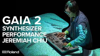 Roland GAIA 2 Synthesizer Performance