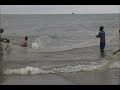 videos de sirenas reales