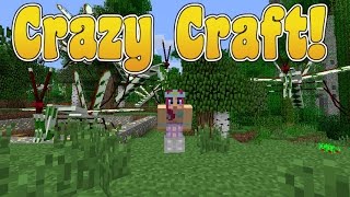 Sunday Morning Adventures! Crazy Craft! Ep.21 Mantis Mania! | Amy Lee33