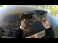 Top Water Bass Fishing with Spro Frogs