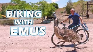 How I Connect With My Animals