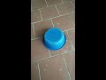 Clip Kinh Dị Cái Chậu Bị Ma Ám Yếu Tim Đừng Xem | Gaming LQM