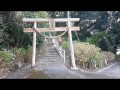 【神社と猫】 熊本県：住吉神社(Catsu0026Sumiyoshi Shrine)