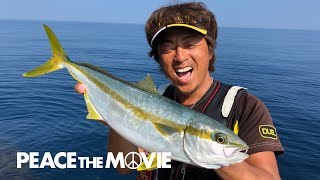 PEACE THE MOVIE「ザ・真夏の日本海!ヒラマサ釣りだ―!」山陰地方・鳥取県鳥取市の旅 (前編)/平和卓也(864)