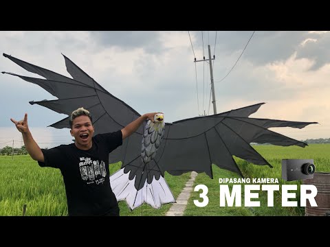 TERBANGKAN LAYANGAN BURUNG ELANG LIPAT 3 METER DIPASANG GOPRO KEREN!!! LIHAT INI