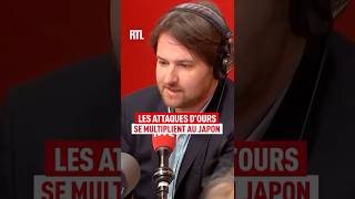 Les Attaques Dours Se Multiplient Au Japon
