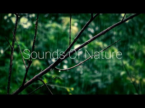 4K Video | Âm Nhạc Thư Giãn & Tiếng Mưa Rơi | Relaxing Music & Rain Sounds