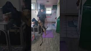 Lena Refresher Practicing Place While Observing Every Day Activities