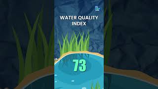 Wonder Worms Cleaning Ahmedabads Lakes