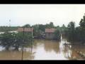 hurricane mitch - impact hurricane mitch - impact