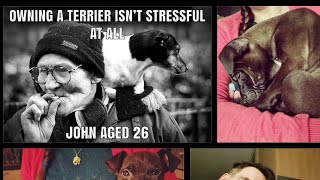Life With A Working Terrier. Fell Hunting Terriers Patterdale Vs. German Jagd