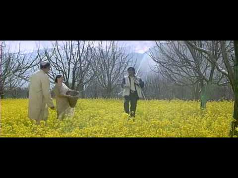 Mera Mulk Mera Desh