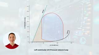What Is Afterload?