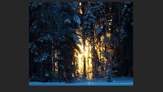 Taizé Healing service - December 10, 2020 - St. Hugh, Elgin, IL