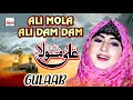 Gulaab Latest Beautiful Naat 2020 | Ali Mola Ali Dam Dam | Gulaab