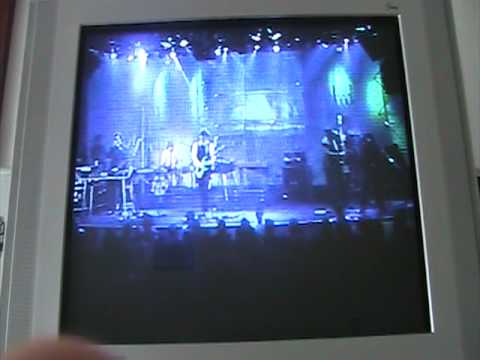Ode to Mauricio Garces - Plastilina Mosh - Live