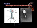 biologia: vírus   parte 01  prof  toid 
