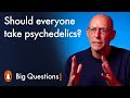 Should everyone take psychedelics? | Big Questions with Michael Pollan