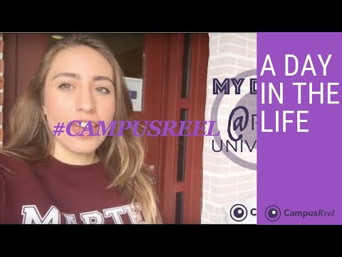 Rice University College Dorm Room Tour