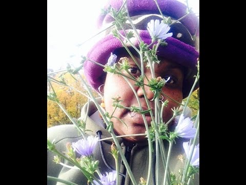Black Witch Chronicles March 23rd: Earth as Healer with Sophia L. Buggs