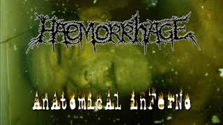 Watch Haemorrhage Worminfested Cavities video