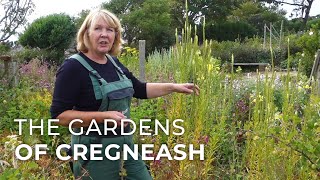 The Gardens of Cregneash: preserving the way people grew food 100 years ago