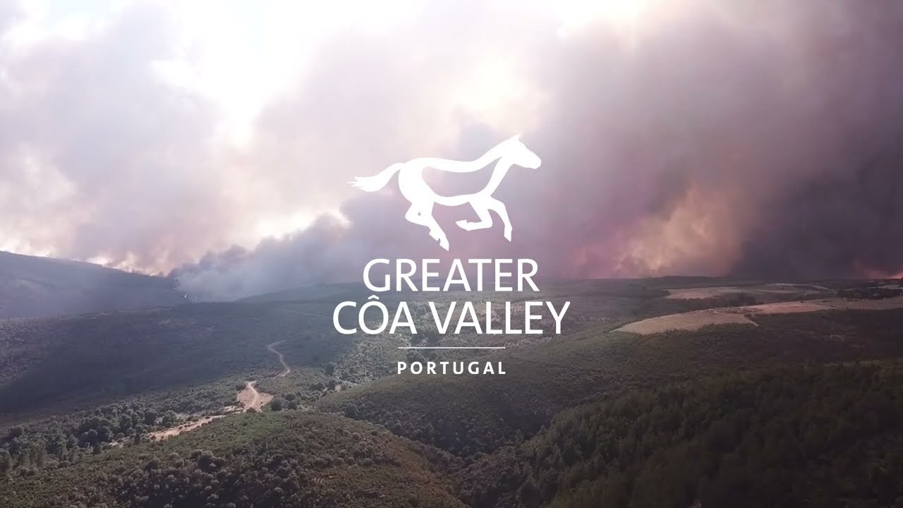 Conservation shorts
