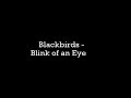 Blackbirds - Blink of an Eye