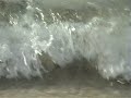 King fish feeding frenzy