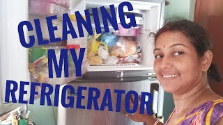 Cleaning My Refrigerator Vlog Rupashree Bengali Vlogs