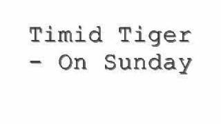 Watch Timid Tiger On Sunday video