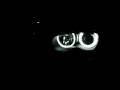 BMW E46 bixenon with CCFL rings @ night