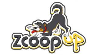 Dog Cleaning Video Service