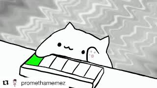 Cat Plays A Song (Running in The 90?s)
